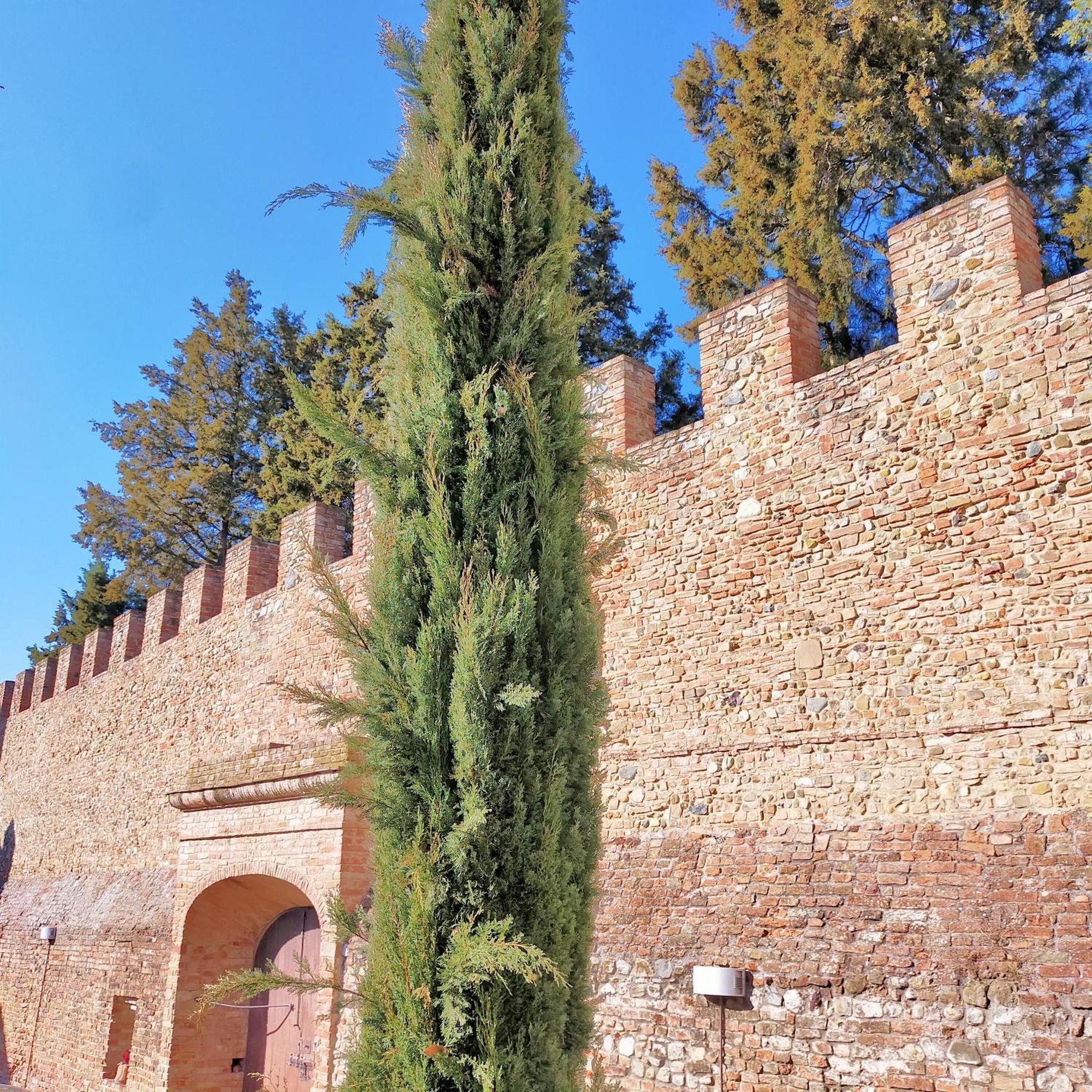 チェルタルドPalazzo Stiozzi Ridolfiアパートメント エクステリア 写真